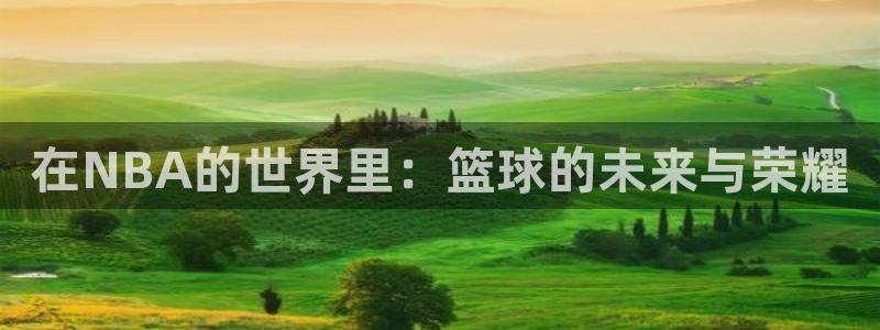 沐鸣2官网注册地址：在NBA的世界里：篮球的未来与荣耀