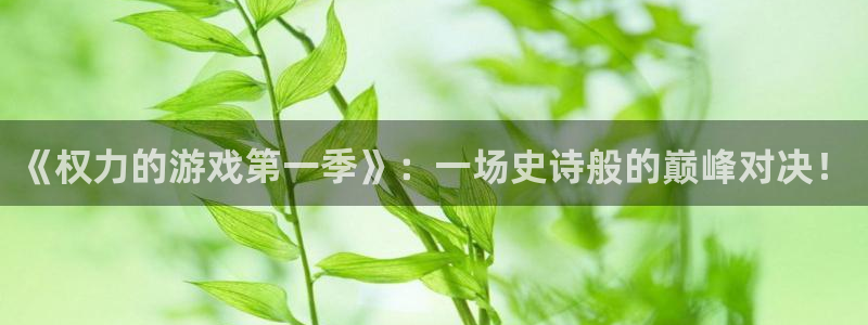 沐鸣2平台代理：《权力的游戏第一季》：一场史诗般的巅峰对决！