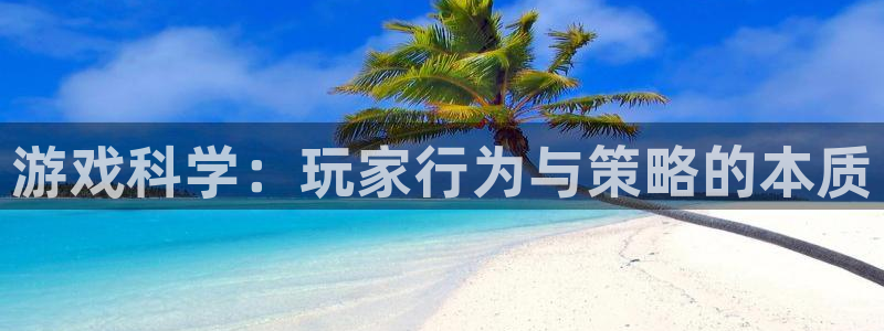 沐鸣2手机网页版：游戏科学：玩家行为与策略的本质