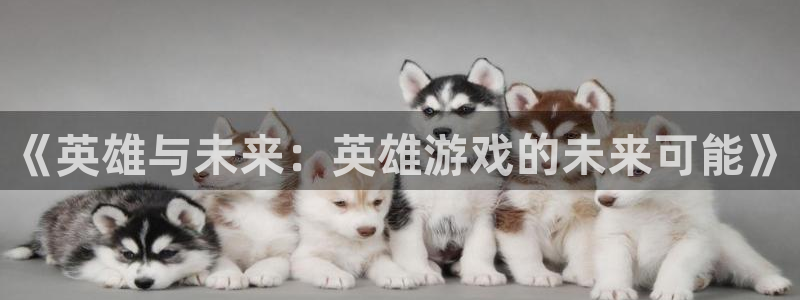 沐鸣2app官方下载最新版本功能介绍：《英雄与未来：英雄游戏